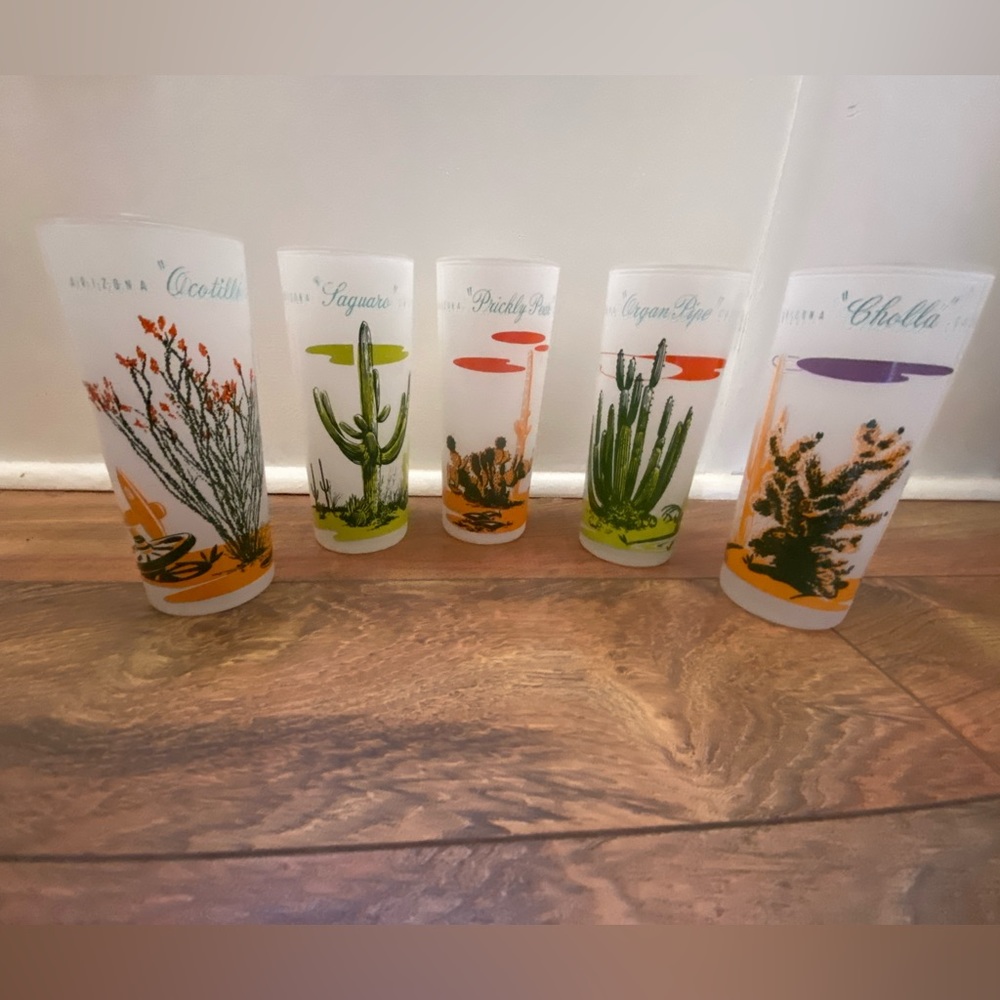 Collectible Blakely Frosted Arizona Cactus Glasses